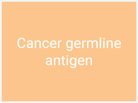Tumour Antigens_Cancer germline antigen-1