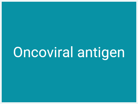 Tumour Antigens_Oncoviral antigen-1