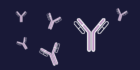 Antibodies 460 x230-8