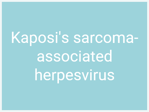 Tumour Antigens_Oncoviral antigen_Kaposis sarcoma-associated herpesvirus-1