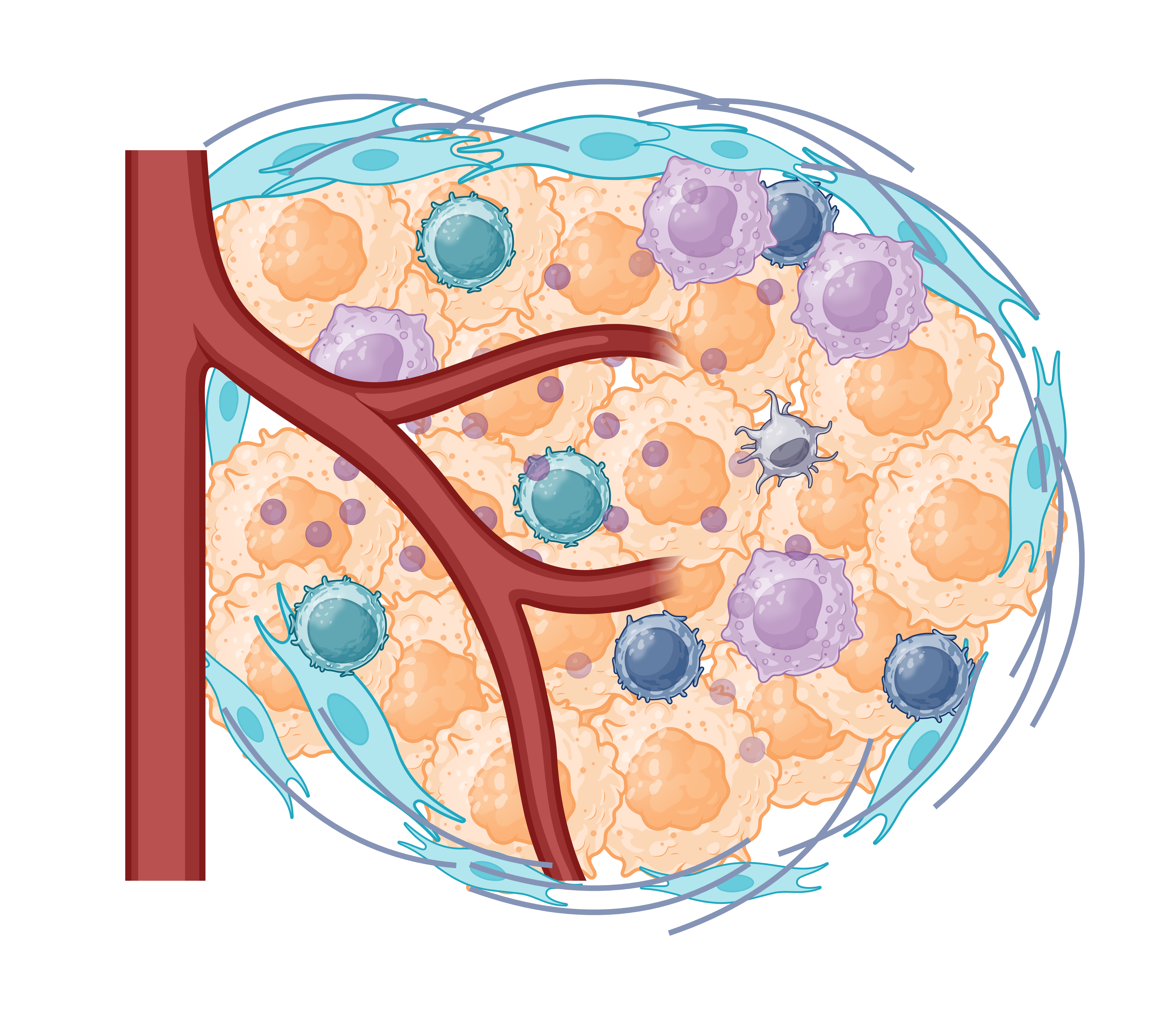 Tumour microenvironment (7)