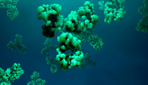 antibodies_stock