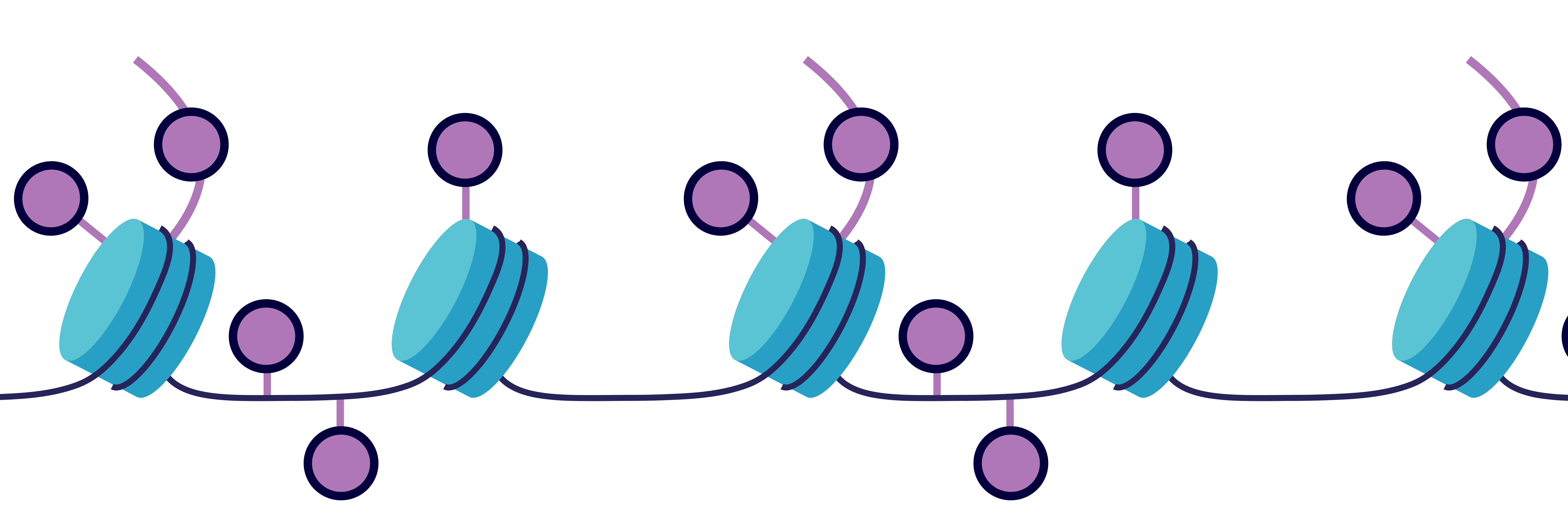 epigenetics (2)